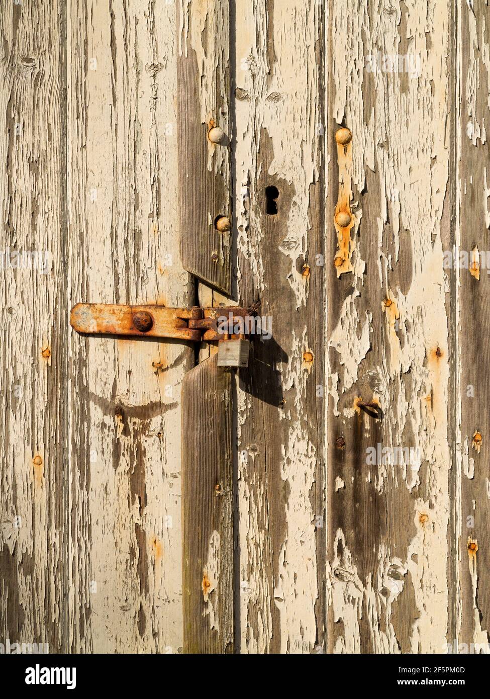 Une section d'une porte de hangar dilatée avec des écailles importantes peinture et cadenas rouillés et moraillon Banque D'Images