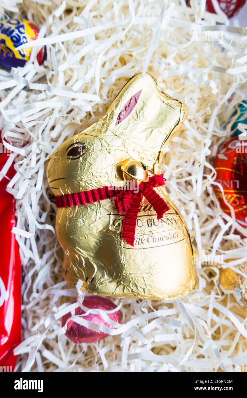 Cadeaux de Pâques au chocolat Banque D'Images