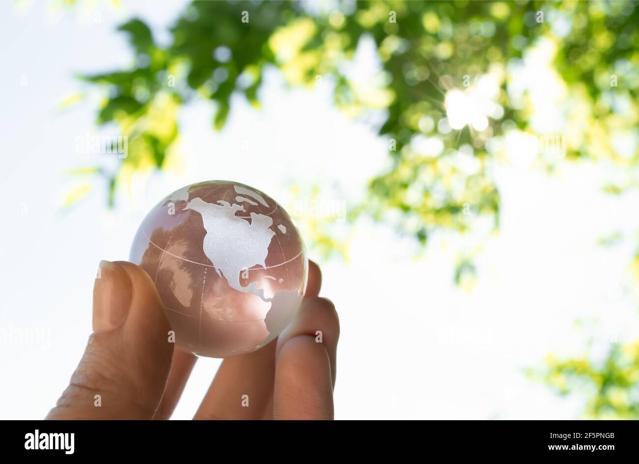 Globe de cristal dans la main d'un homme contre un fond de ciel bleu et de feuillage vert. Concept de protection de la terre. Protection de la nature Banque D'Images
