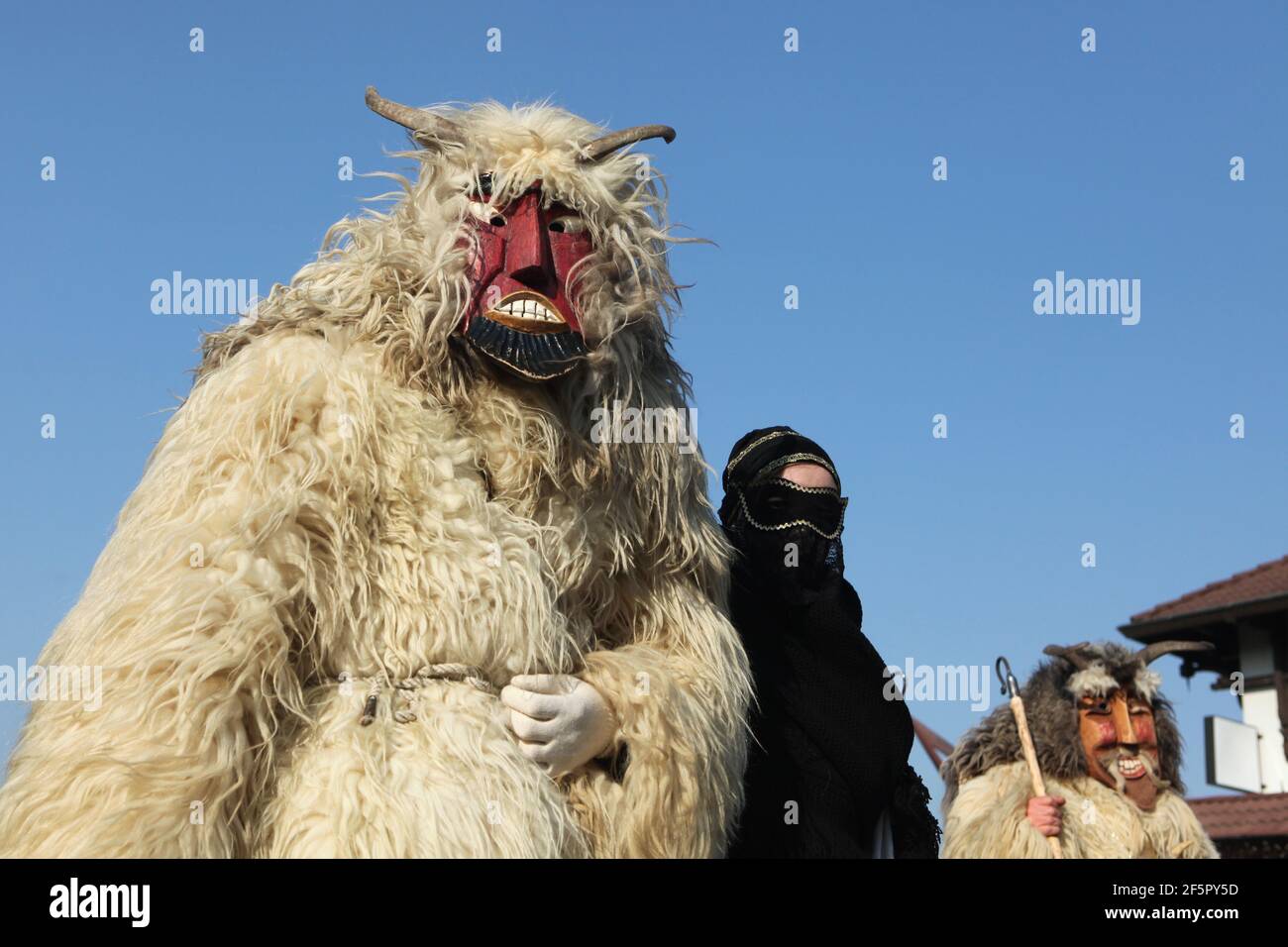 Masqué Busós marcher dans le centre-ville le samedi Farsang pendant le carnaval de Busójárás à Mohács dans le comté de Baranya, Hongrie. Célébration traditionnelle annuelle masquée du groupe ethnique Šokci tenue à la fin de la saison du carnaval (Farsang) dans le sud de la Hongrie. Banque D'Images