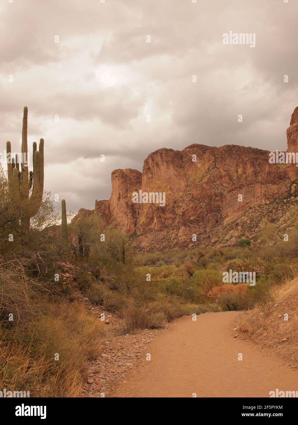 Des images en couleur le long de la rivière Salt en Arizona tandis qu'elle serpente à travers la forêt nationale de Tonto à l'est de Phoenix. Images difficiles du sud-ouest américain dans le désert. Banque D'Images