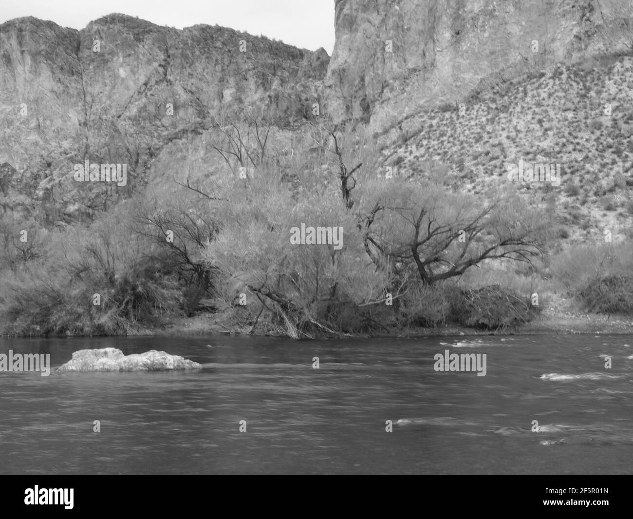 Images du désert d'Arizona en noir et blanc le long de la rivière Salt dans la forêt nationale de Tonto à l'est de phoeniz, Arizona Banque D'Images