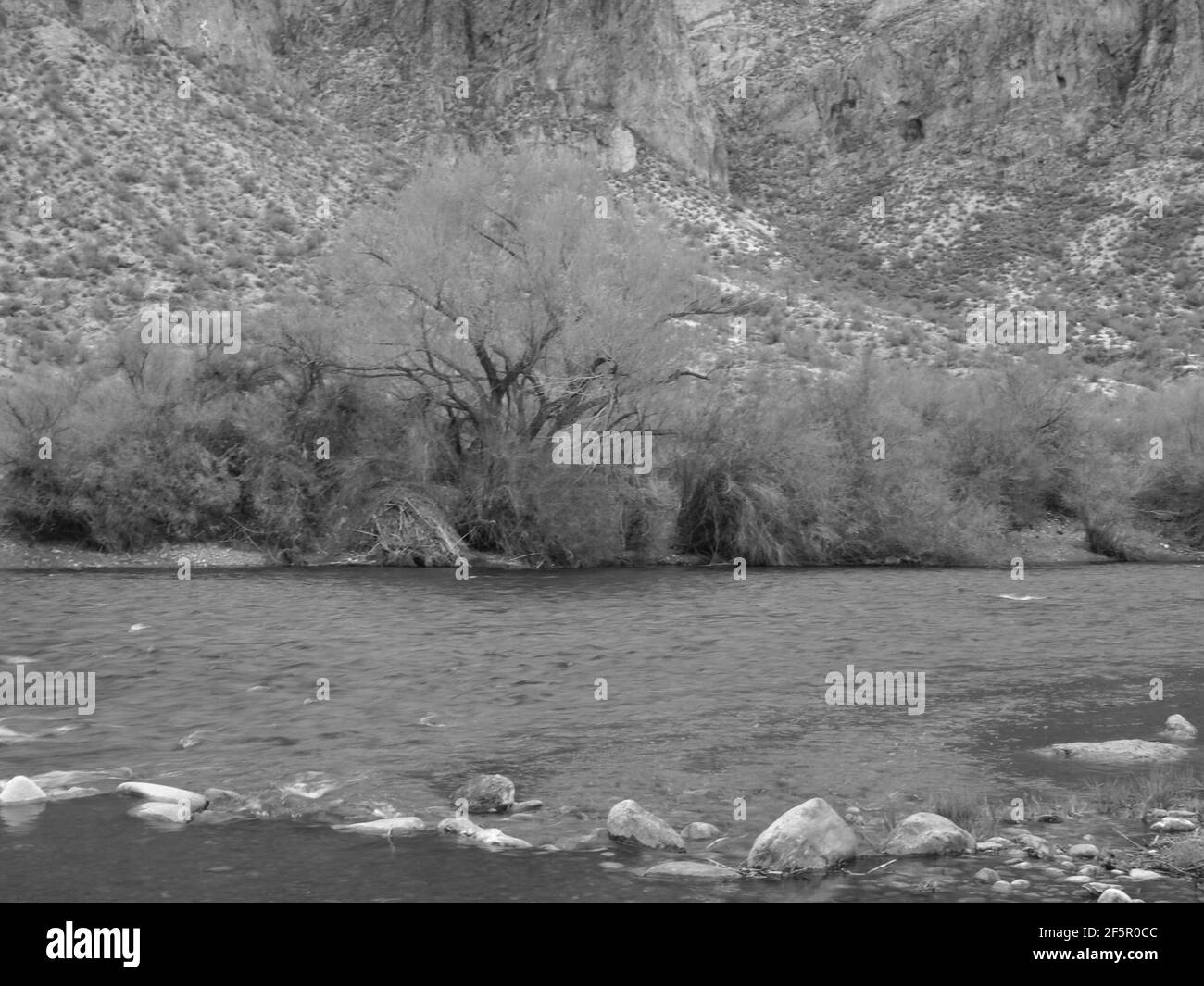 Images du désert d'Arizona en noir et blanc le long de la rivière Salt dans la forêt nationale de Tonto à l'est de phoeniz, Arizona Banque D'Images