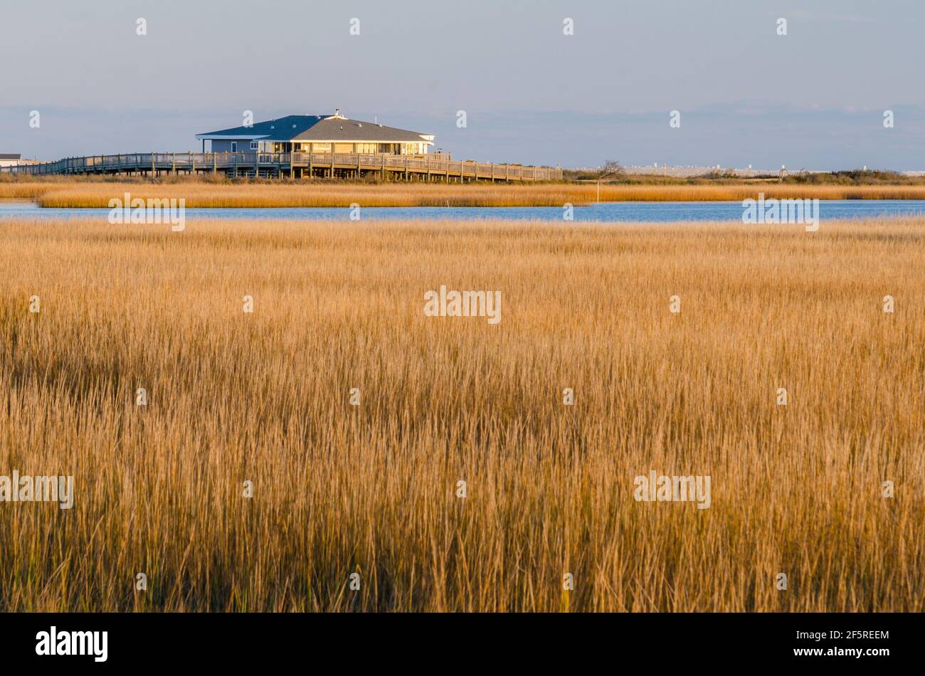 Coucher de soleil et heure d'or dans le parc national de Chincoteague, Virginie, États-Unis Banque D'Images