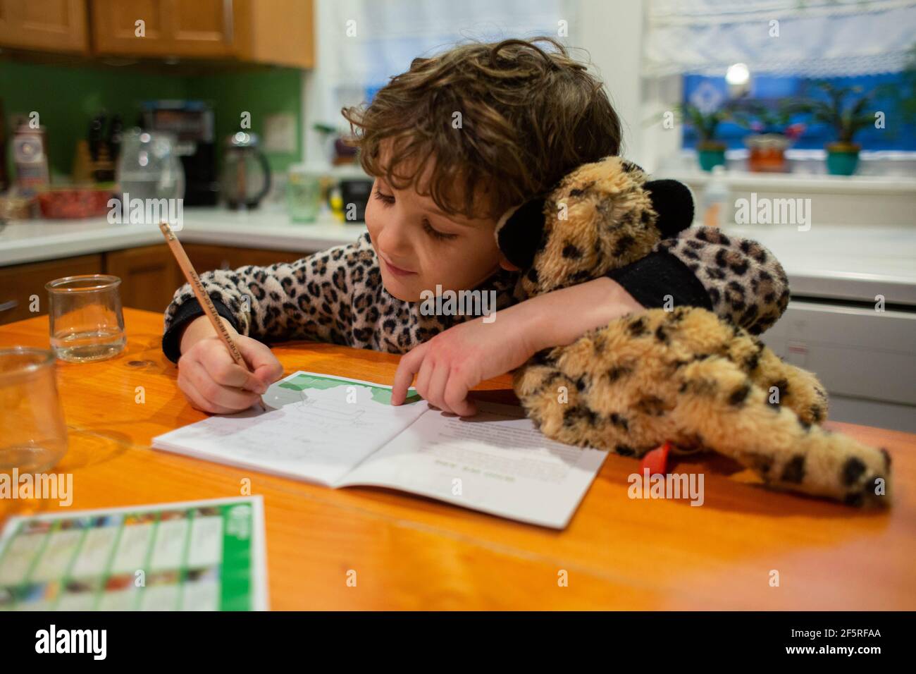 Petit garçon tenant un animal bourré tout en écrivant Banque D'Images