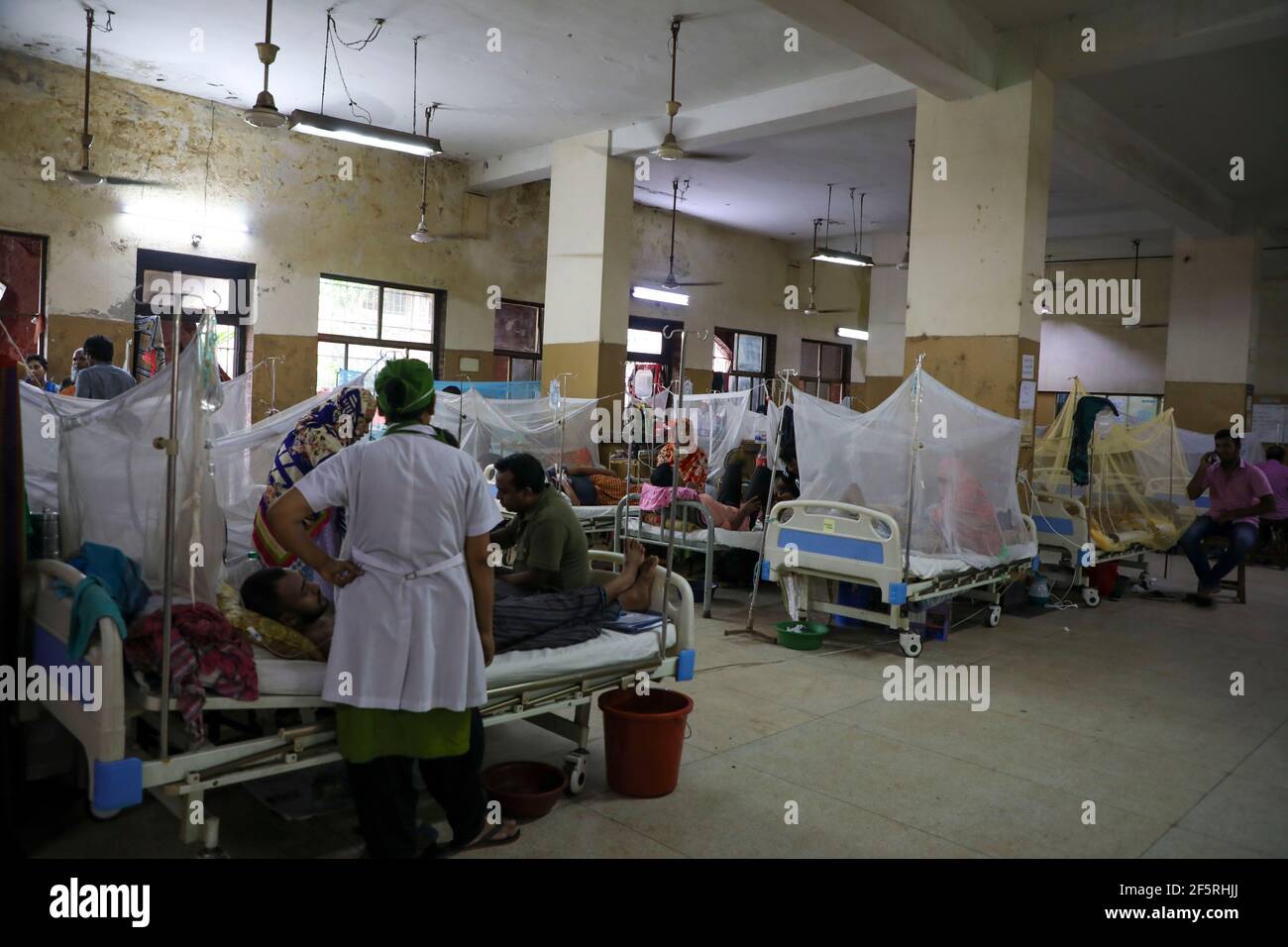 Patients atteints de dengue virale transmise par les moustiques à l'intérieur de moustiquaires à l'hôpital du Shaheed Suhrawardy Medical College de Dhaka. Bangladesh Banque D'Images