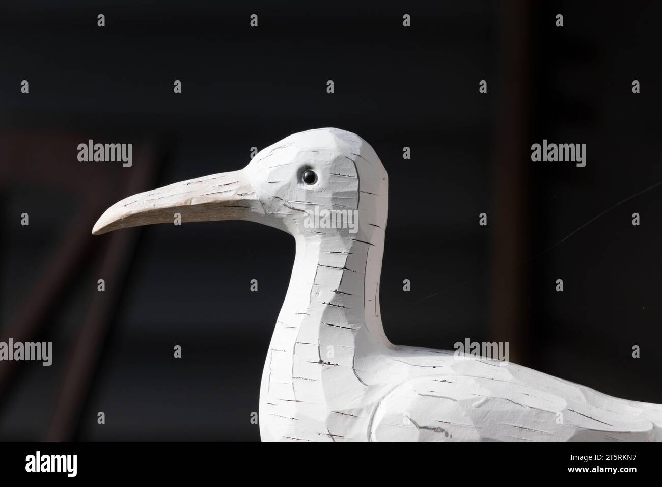 Statue de mouette en bois - art de jardin isolé sur un arrière-plan sombre Banque D'Images