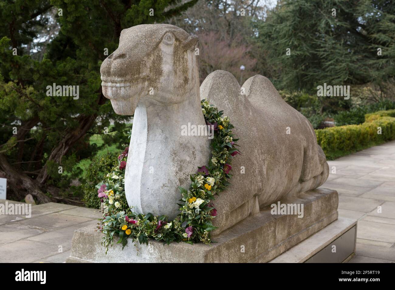 Seattle, Washington, États-Unis. 27 mars 2021. Une guirlande florale orne une sculpture de chameau chinoise en l'honneur des victimes des fusillades d'Atlanta à un mémorial du Seattle Asian Art Museum. Le musée accueille un week-end « Top Asian Hate Community Memorial » en solidarité avec les communautés asiatiques américaines, insulaires du Pacifique et immigrants asiatiques dans le sillage de la violence raciale croissante. Crédit : Paul Christian Gordon/Alay Live News Banque D'Images