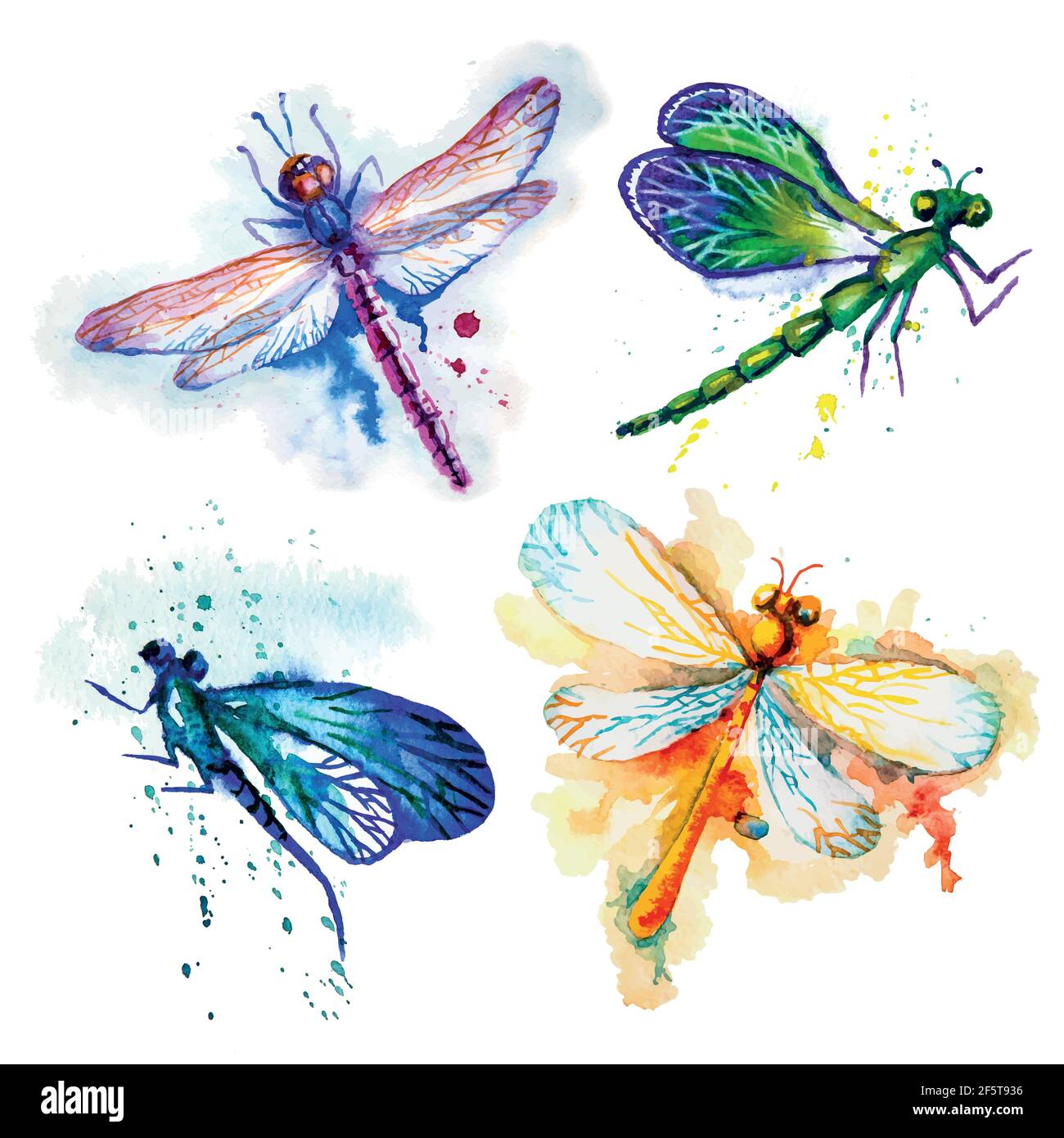 Lot de jeux vectoriels en forme de libellules d'aquarelle volante Illustration de Vecteur