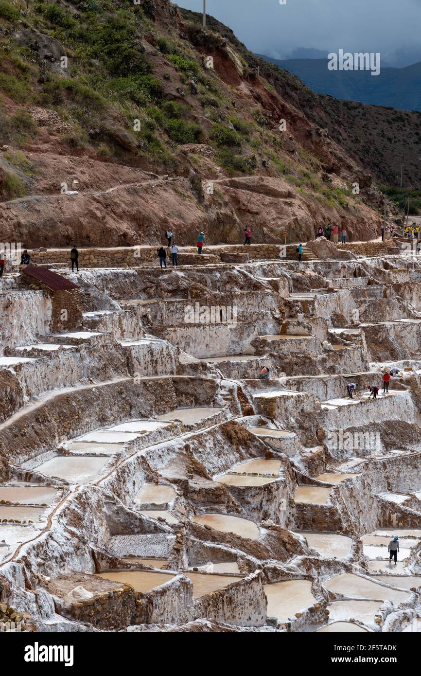 Le champ de sel de Maras, situé près d'Urubamba dans la vallée sainte, existait avant l'Empire Inca et est encore en usage aujourd'hui. Banque D'Images