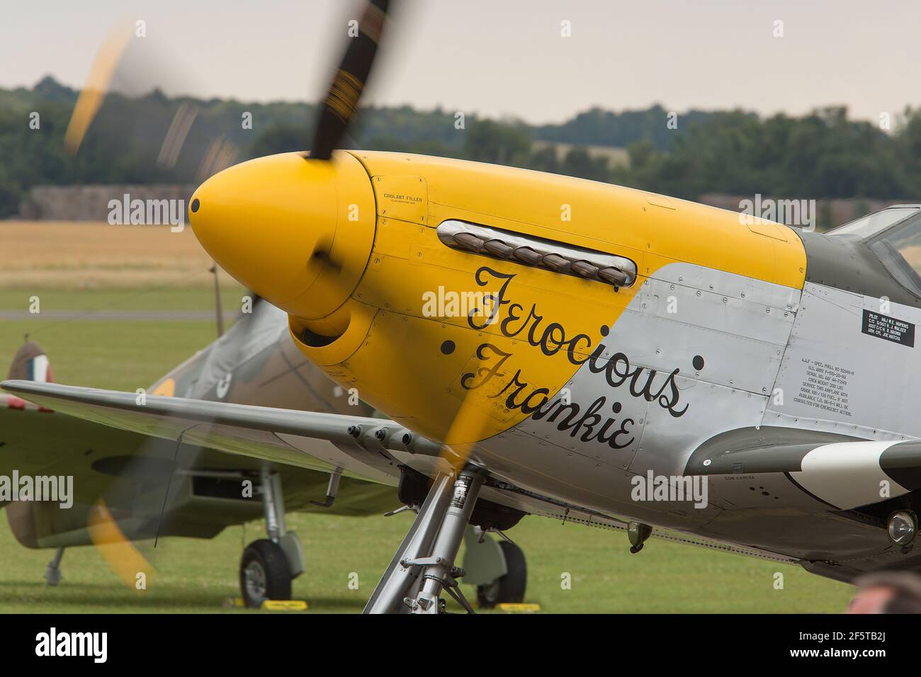 Art du nez sur une Mustang à Duxford Banque D'Images