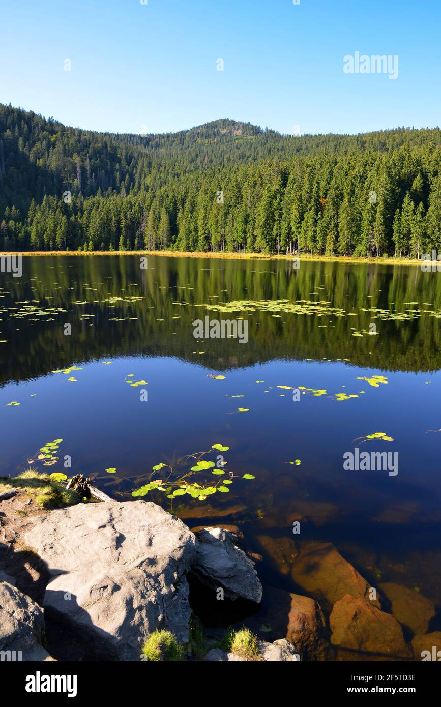 Lac Moraine Grosser Arbersee dans le parc national de la forêt bavaroise. Allemagne. Banque D'Images