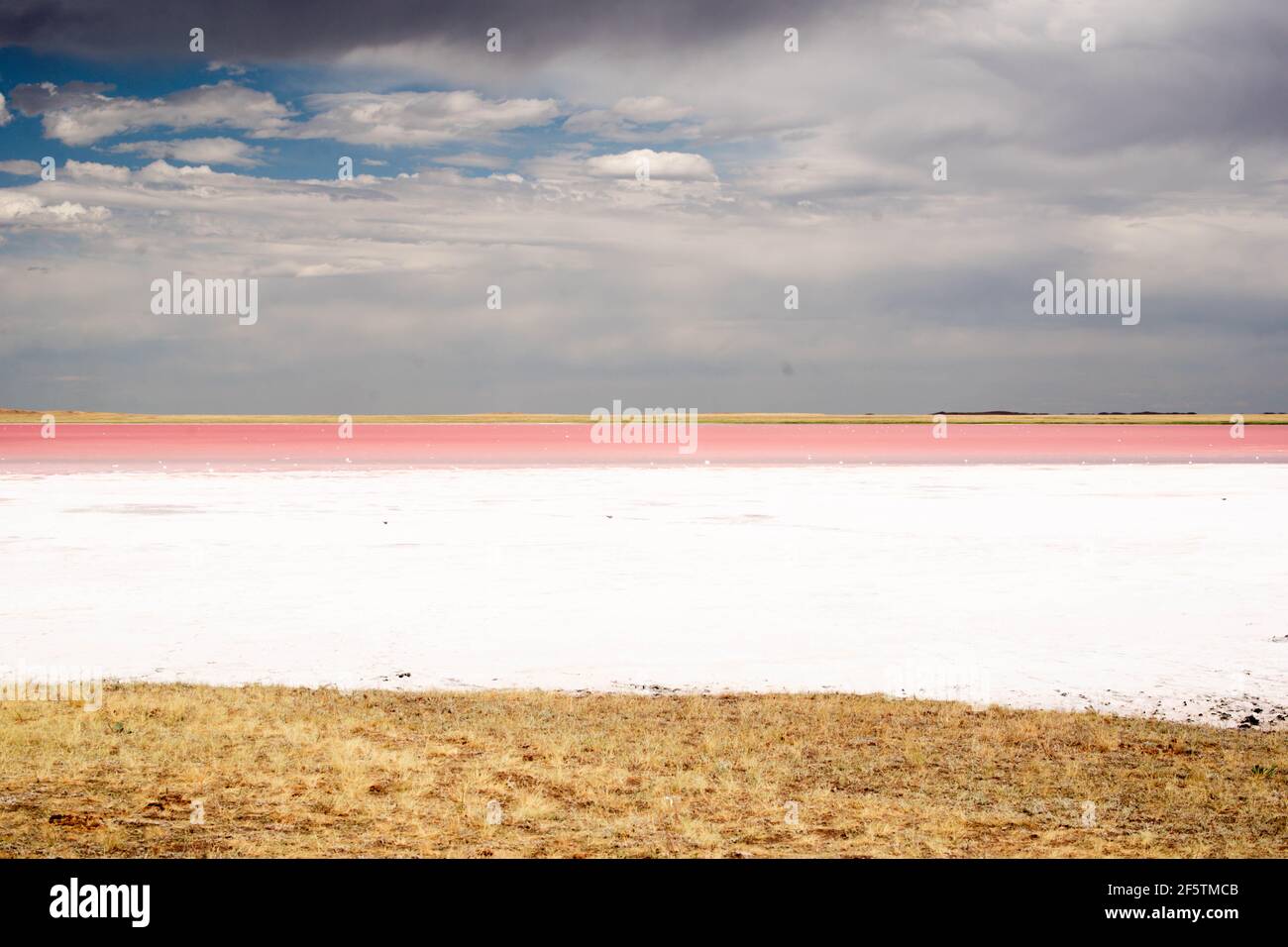 temps ensoleillé au bord d'un lac rose dans la steppe Banque D'Images