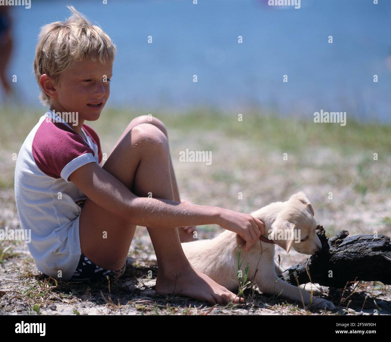 Australie. Enfants. Garçon à l'extérieur avec chien chiot. Banque D'Images