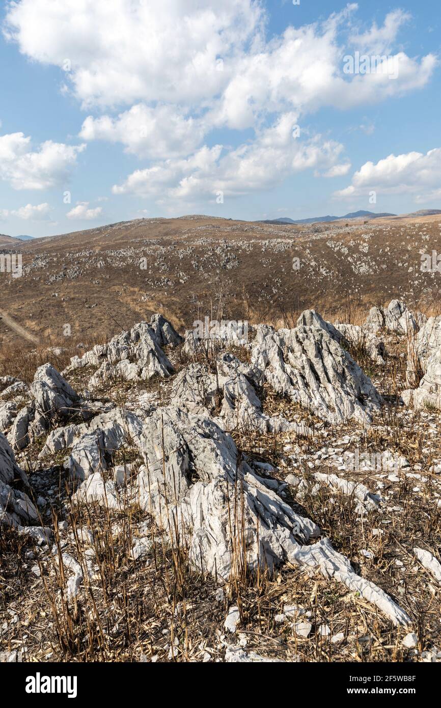 Karst après la combustion annuelle dans le parc quasi national d'Akiyoshi-dai, Japon Banque D'Images