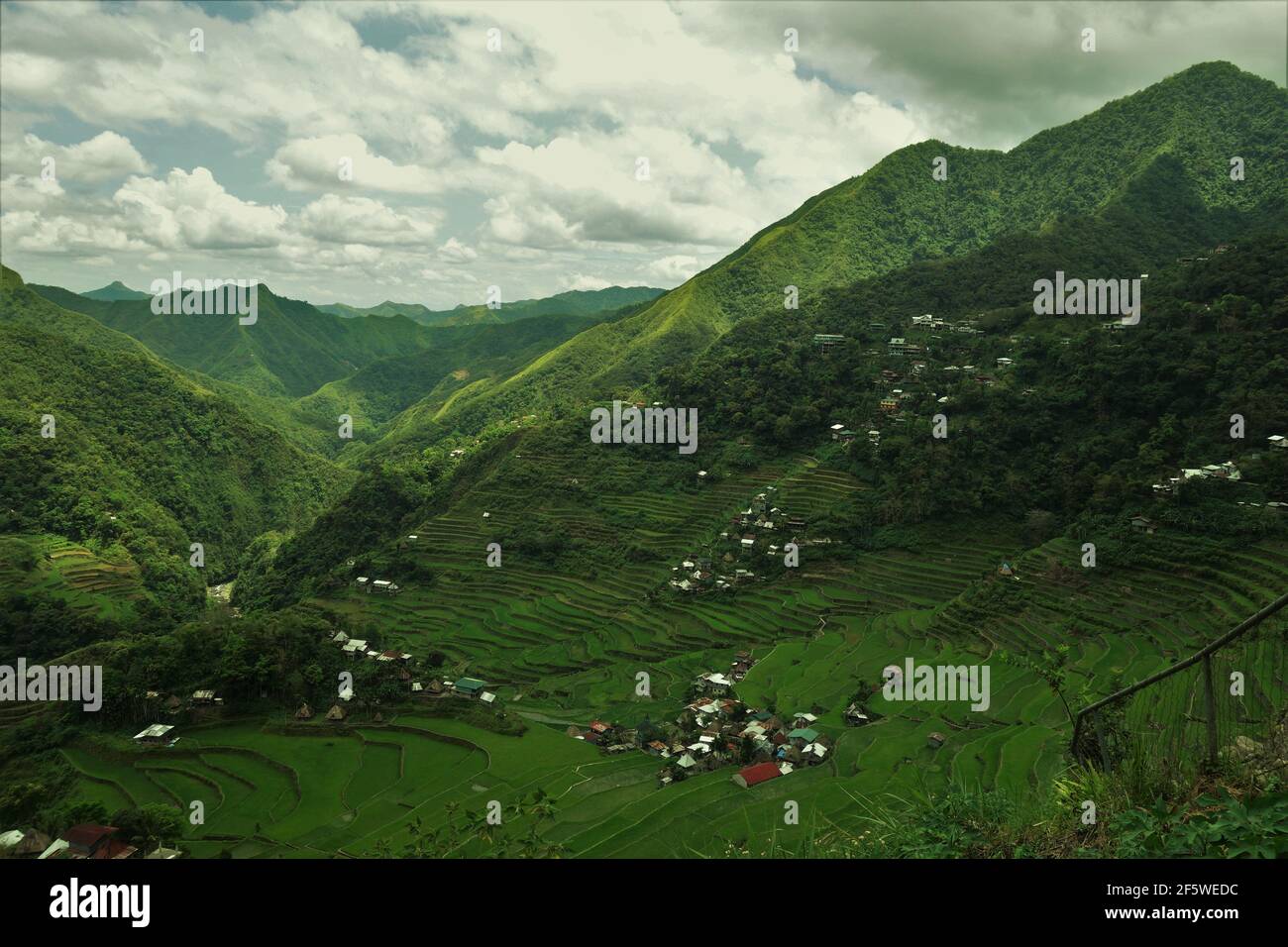 Pentes vertes autour des terrasses de riz du village de Batad Banque D'Images