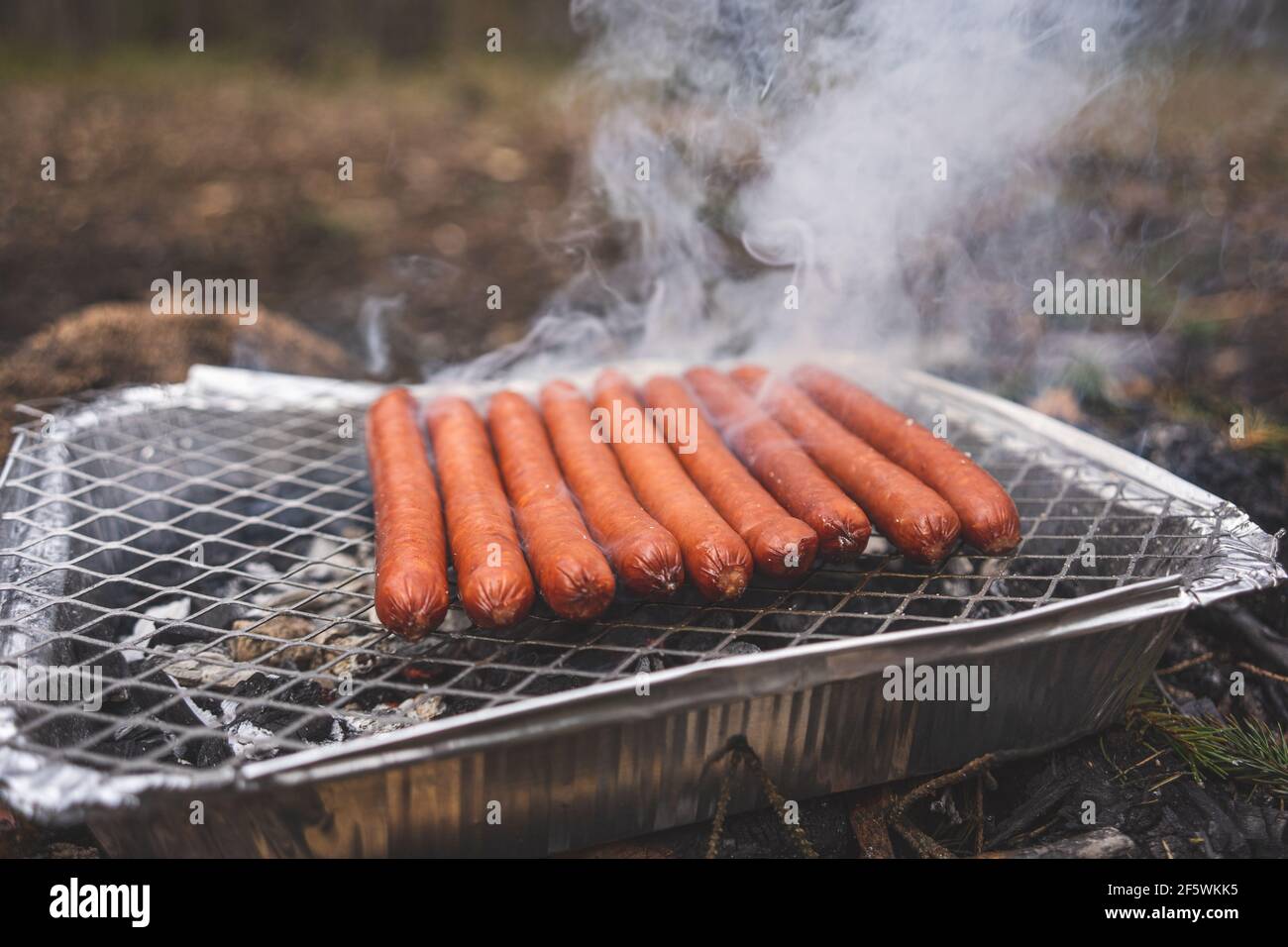 Griller des saucisses sur un gril instantané jetable. Griller des picniking dans la nature, entouré d'arbres forestiers et de pins Banque D'Images