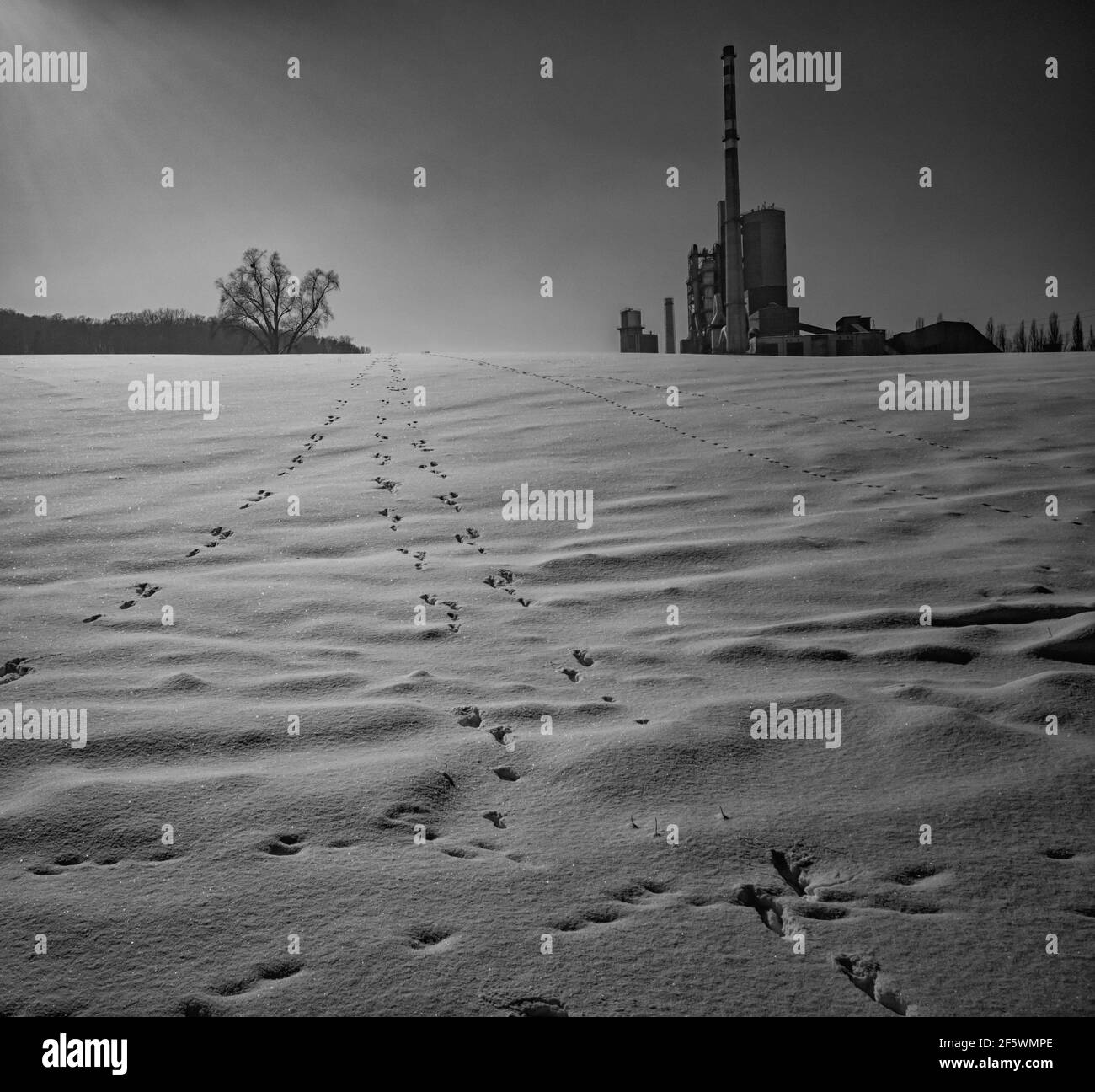 Une photo en niveaux de gris d'un paysage d'hiver dans un environnement industriel zone avec lumière douce du soleil de mornign Banque D'Images