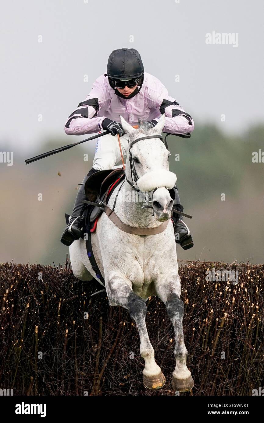 Harry Cobden à cheval Alcala la dernière clôture sur leur chemin à gagner le Peter O'Sullivan Lambourn Virtual Open Day Open Hunters' Chase à l'hippodrome d'Ascot. Date de la photo: Dimanche 28 mars 2021. Banque D'Images