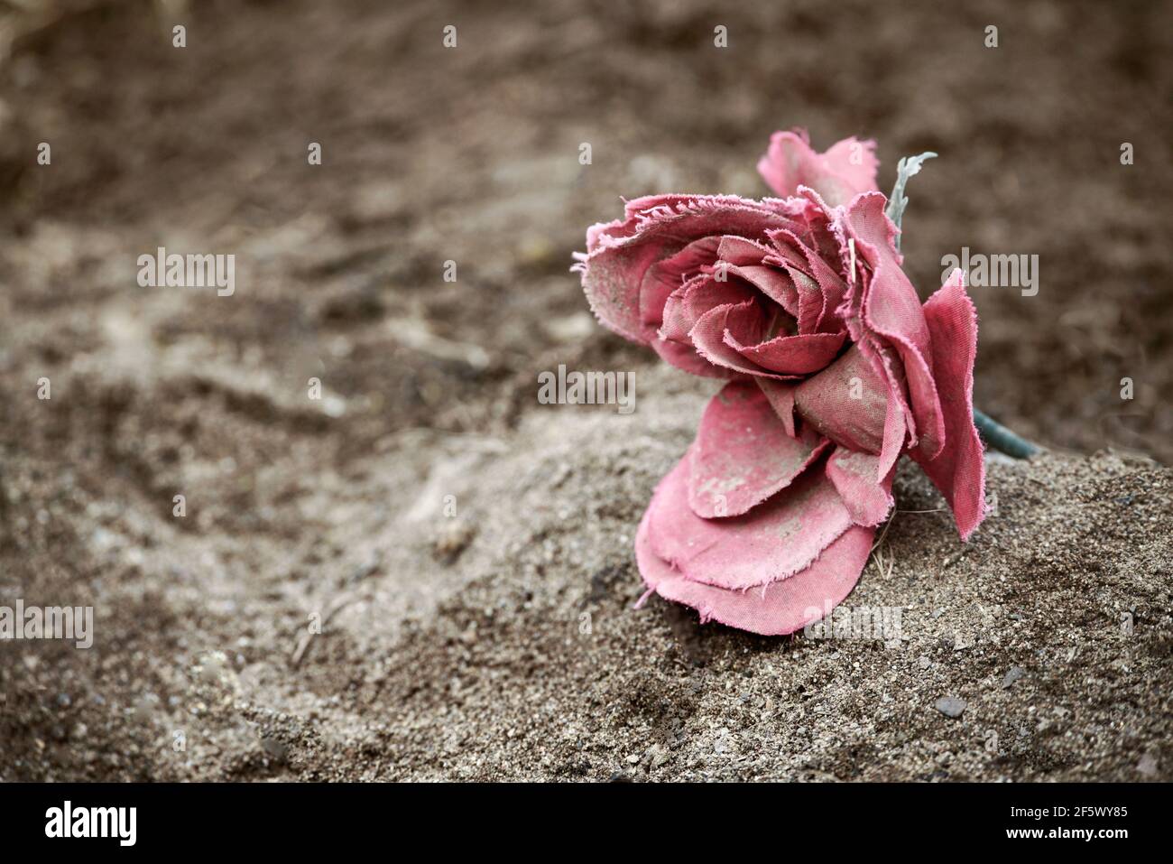 Rose artificielle rouge simple en tissu et en merde Banque D'Images