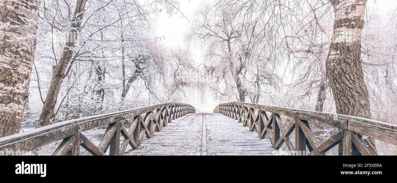 Pont en bois enneigé en hiver. Lac gelé et arbres enneigés, paysage hivernal idyllique. Paysage d'hiver, vue reposante et calme Banque D'Images