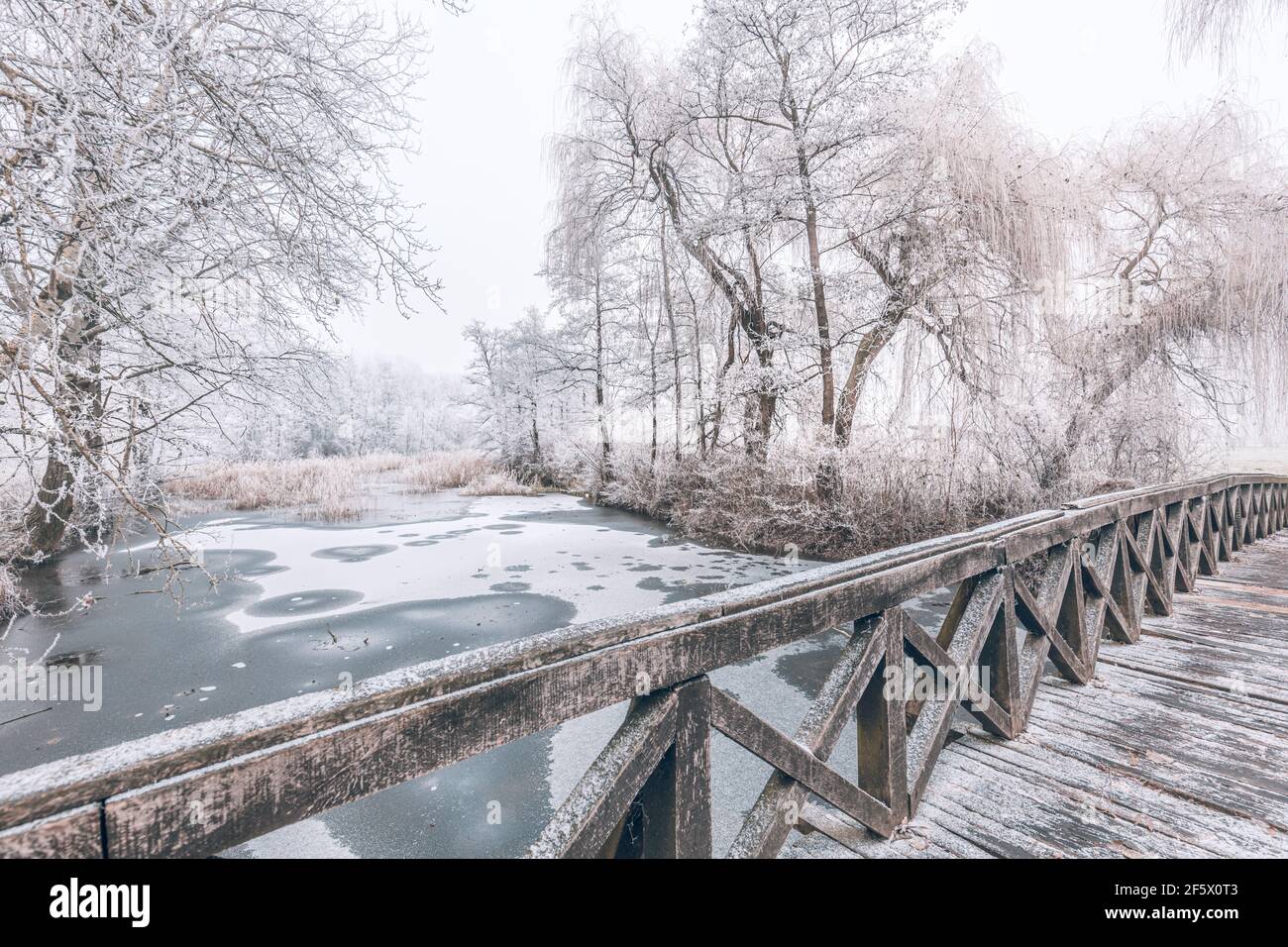 Pont en bois enneigé en hiver. Lac gelé et arbres enneigés, paysage hivernal idyllique. Paysage d'hiver, vue reposante et calme Banque D'Images