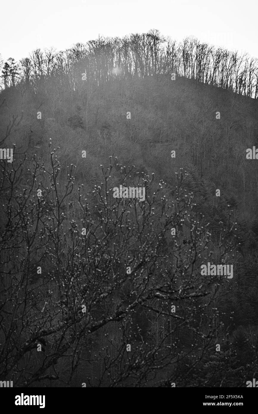 Située dans certains des plus hauts terrains de Caroline du Nord, la route panoramique Interstate 26 dans le comté de Madison offre des vues panoramiques sur les Appalaches. Banque D'Images