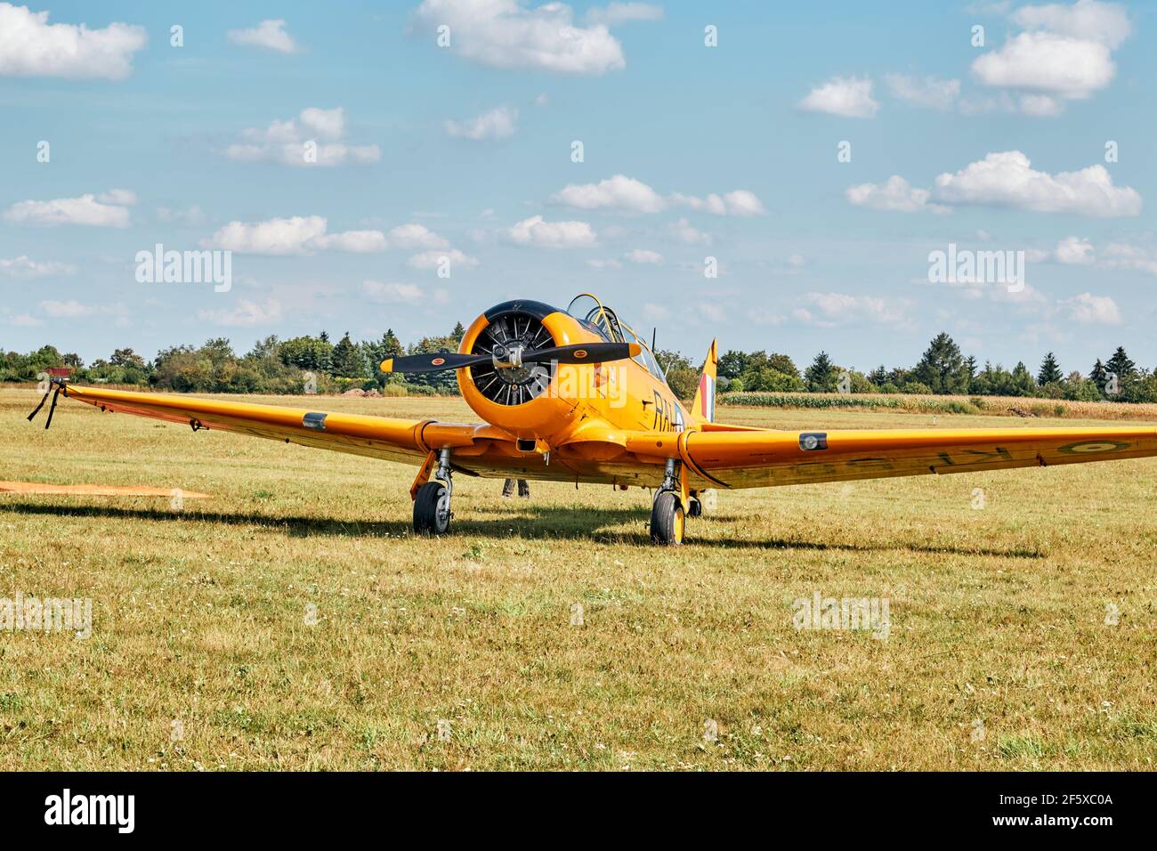 VIII salon international de l'aviation 2020 à Piotrków Trybunalski Banque D'Images