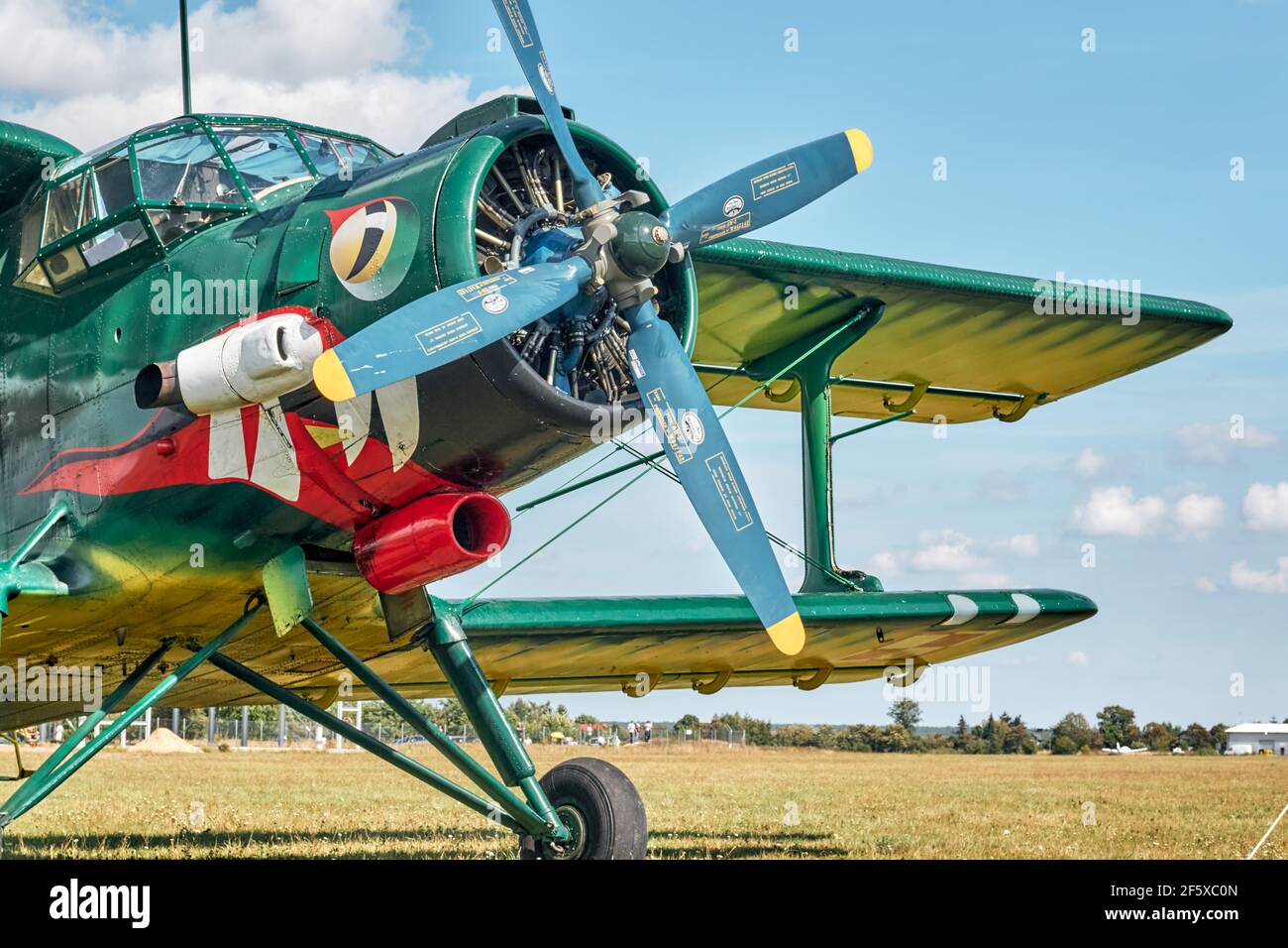 AN-2 avion au VIII International Fly fest exposition de l'aviation 2020 à Piotrków Trybunalski Banque D'Images