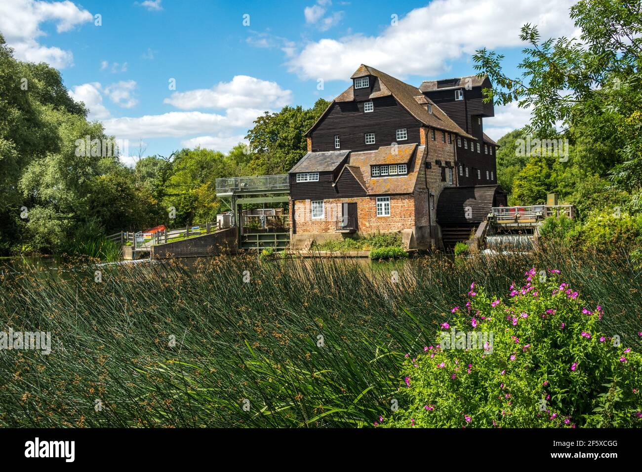 Houghton Mill un moulin à eau sur la Grande Ouse à Houghton, Cambridgeshire, Angleterre Banque D'Images