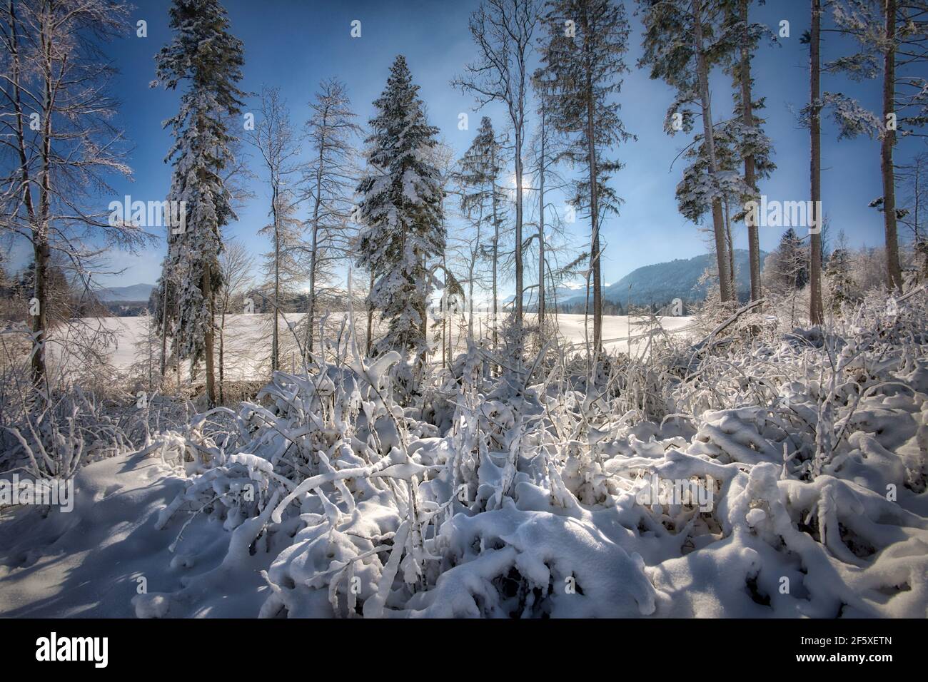 DE - BAVIÈRE: Scène d'hiver dans l'Isartal près de Bad Toelz (HDR-Photography) Banque D'Images