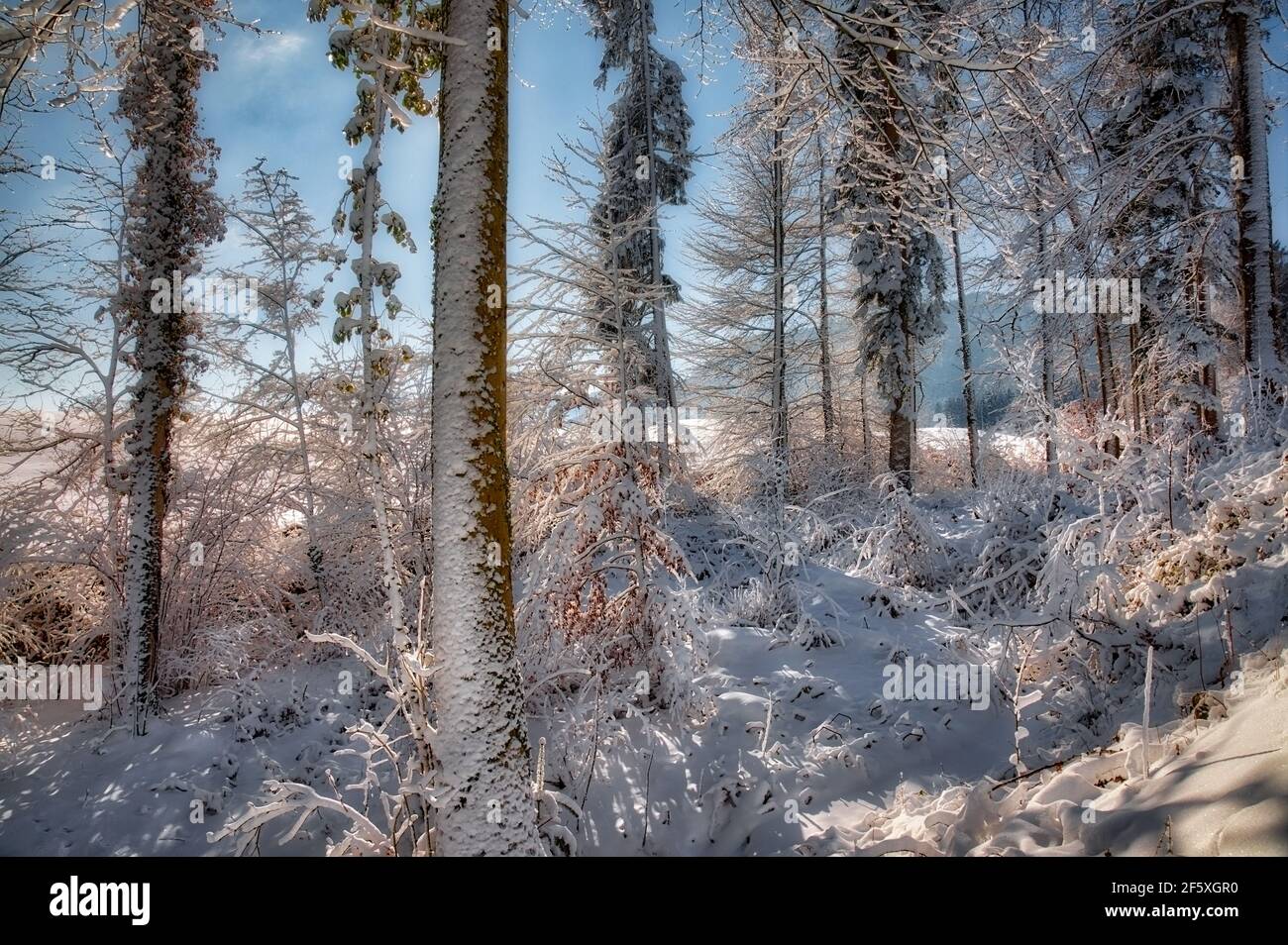 DE - BAVIÈRE: Scène d'hiver dans l'Isartal près de Bad Toelz (HDR-Photography) Banque D'Images