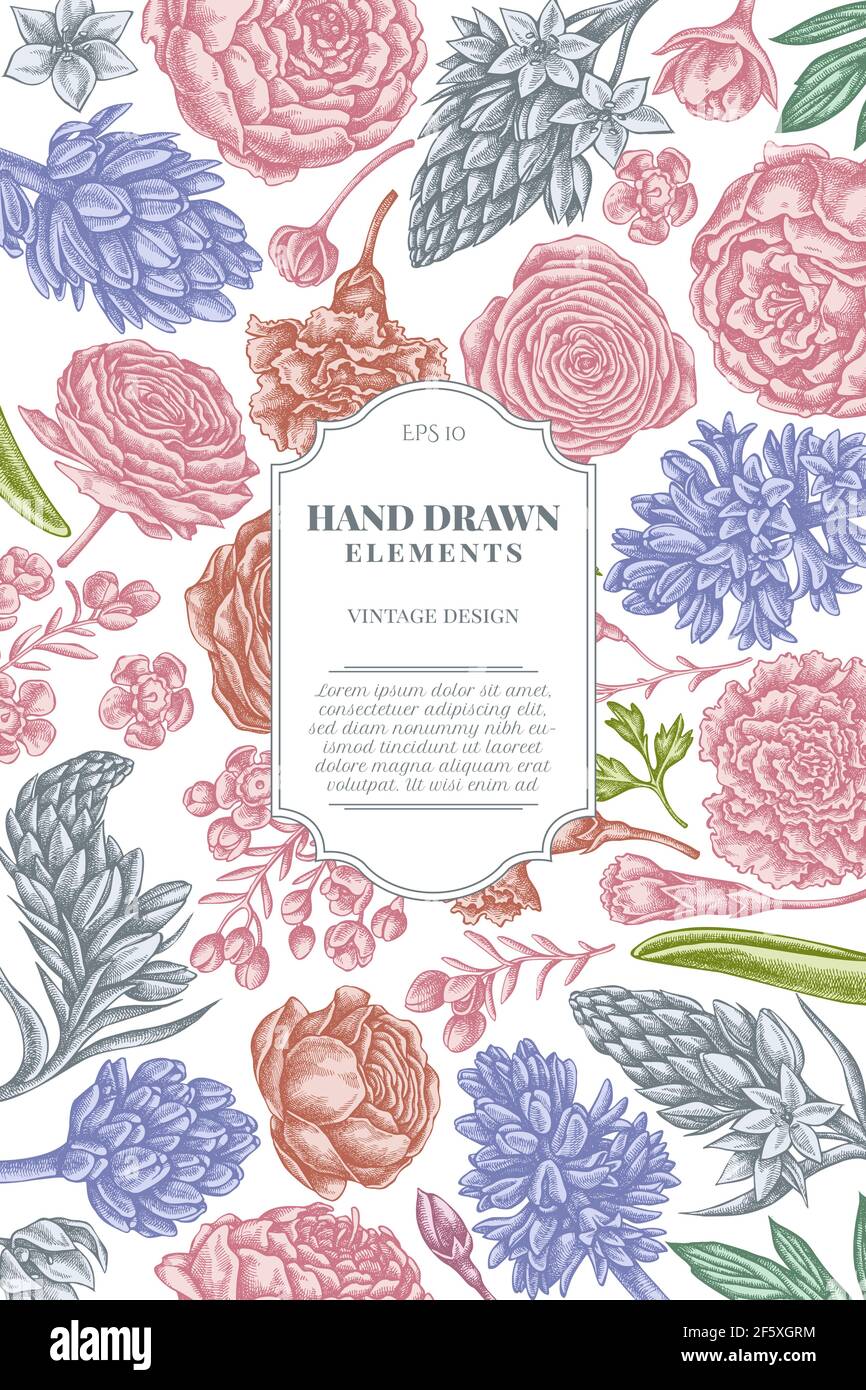 Motif carte avec pivoine pastel, carnation, ranunculus, fleur de cire, ornithogalum, jacinthe Illustration de Vecteur