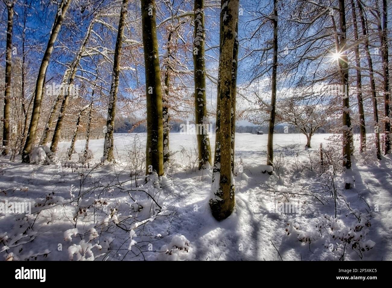 DE - BAVIÈRE: Scène d'hiver dans l'Isartal près de Bad Toelz (HDR-Photography) Banque D'Images