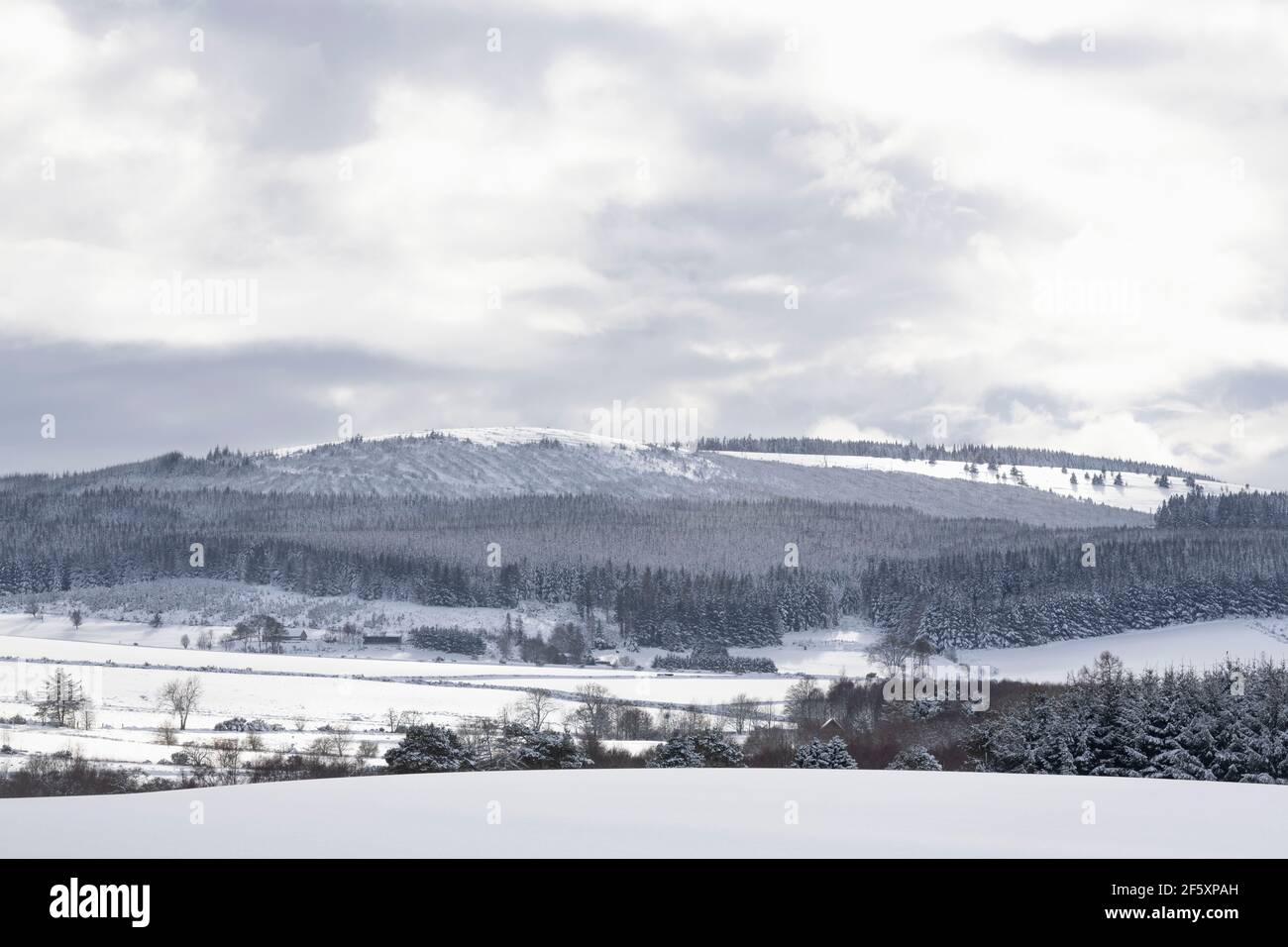 Vue sur la forêt de Midmar et la colline de Fare Dans Aberdeenshire sous la neige en hiver Banque D'Images