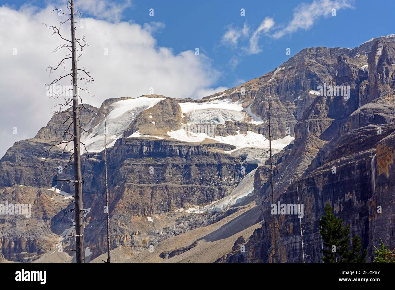 Le glacier Stanley dans le parc national Kootenay, au Canada Banque D'Images