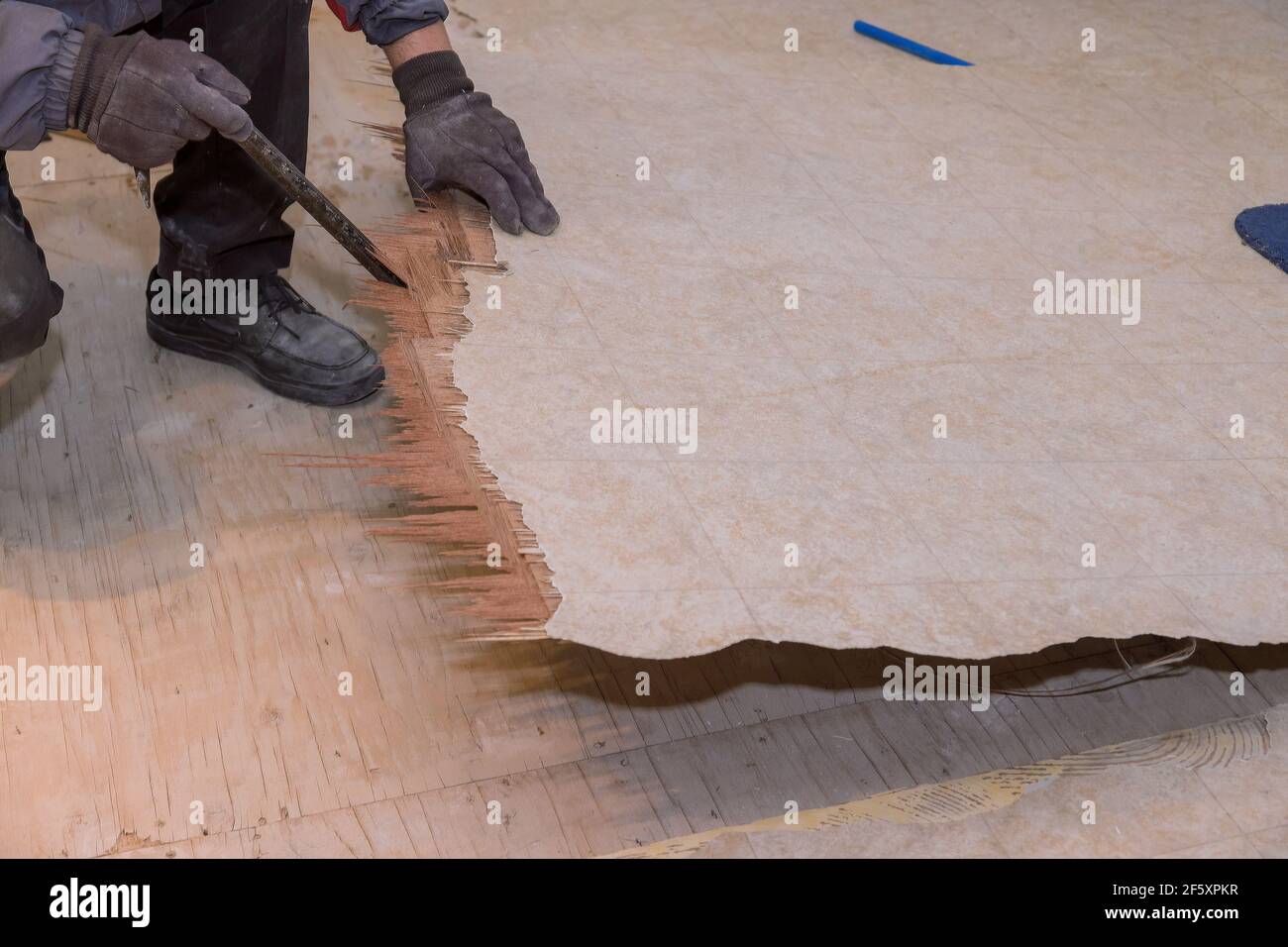 Le travailleur démonte le vieux plancher de linoléum avec la maison amélioration Banque D'Images