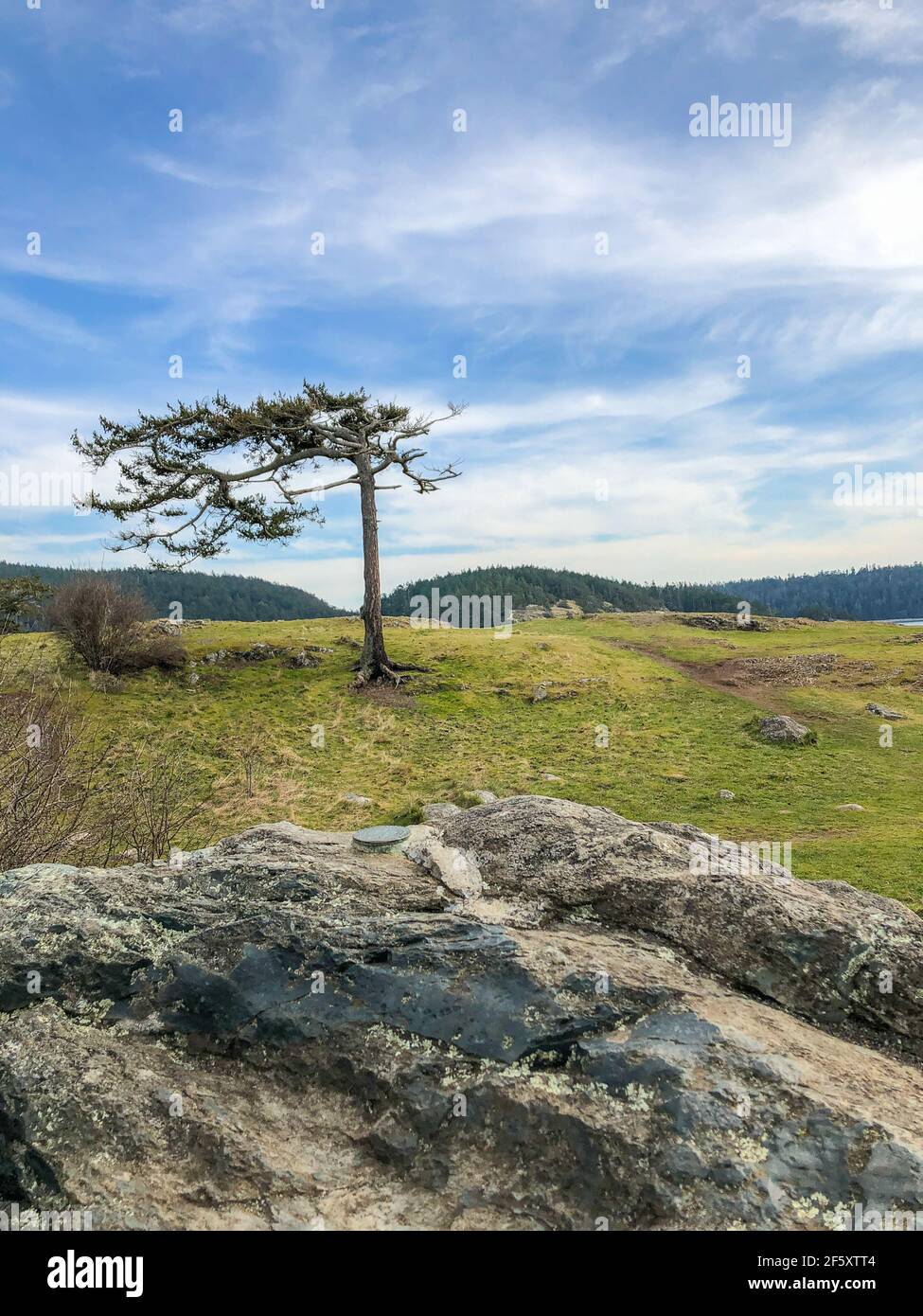 Rosario Beach se trouve dans la zone de Fidalgo Island du parc national de Deception Pass. En fait, un ensemble de deux plages, une de chaque côté d'une péninsule, R Banque D'Images