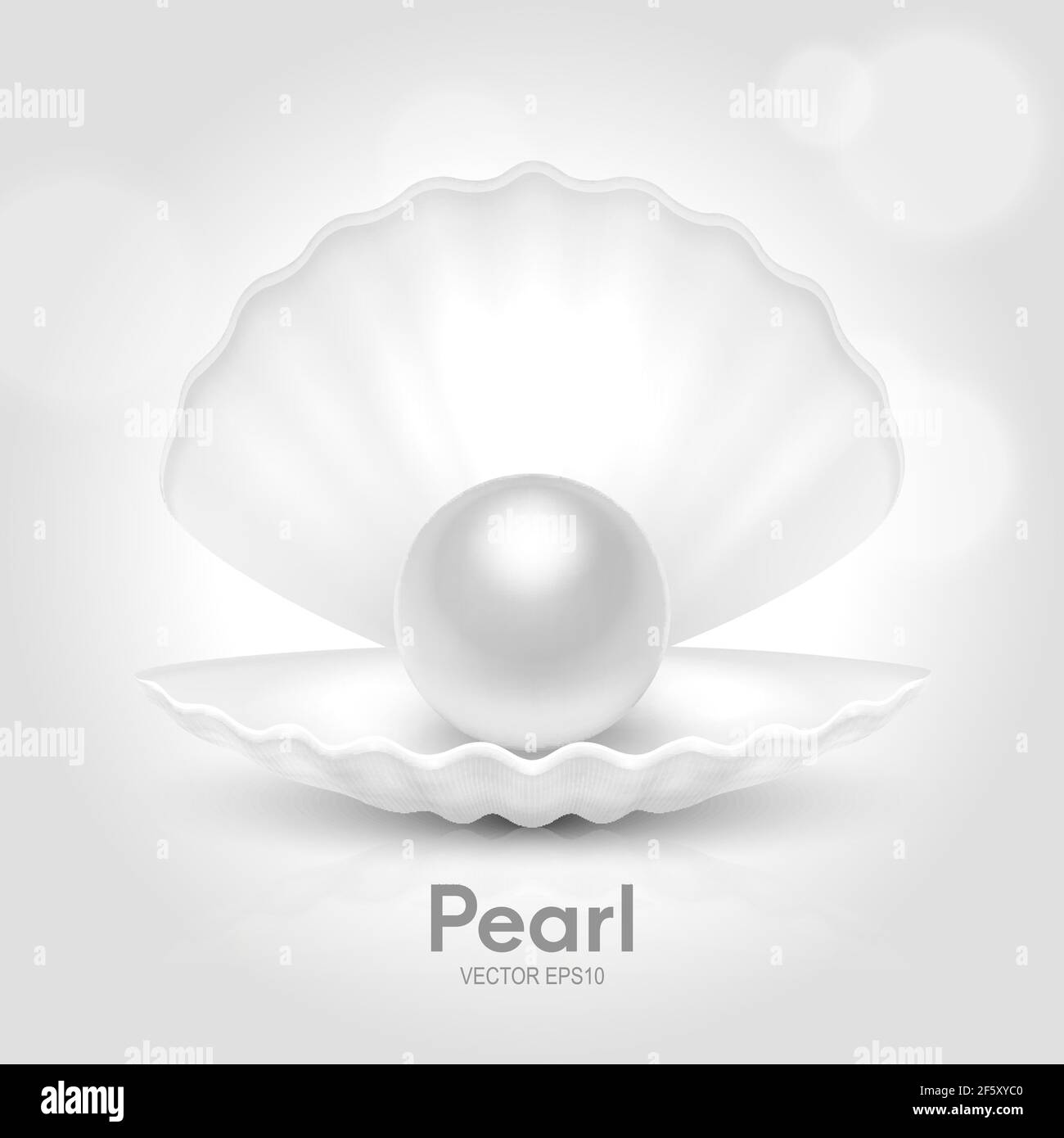 Vector 3d Realistic magnifique Natural ouvert White Pearl Shell avec White Pearl Inside gros plan isolé sur fond blanc avec réflexion. Conception Illustration de Vecteur