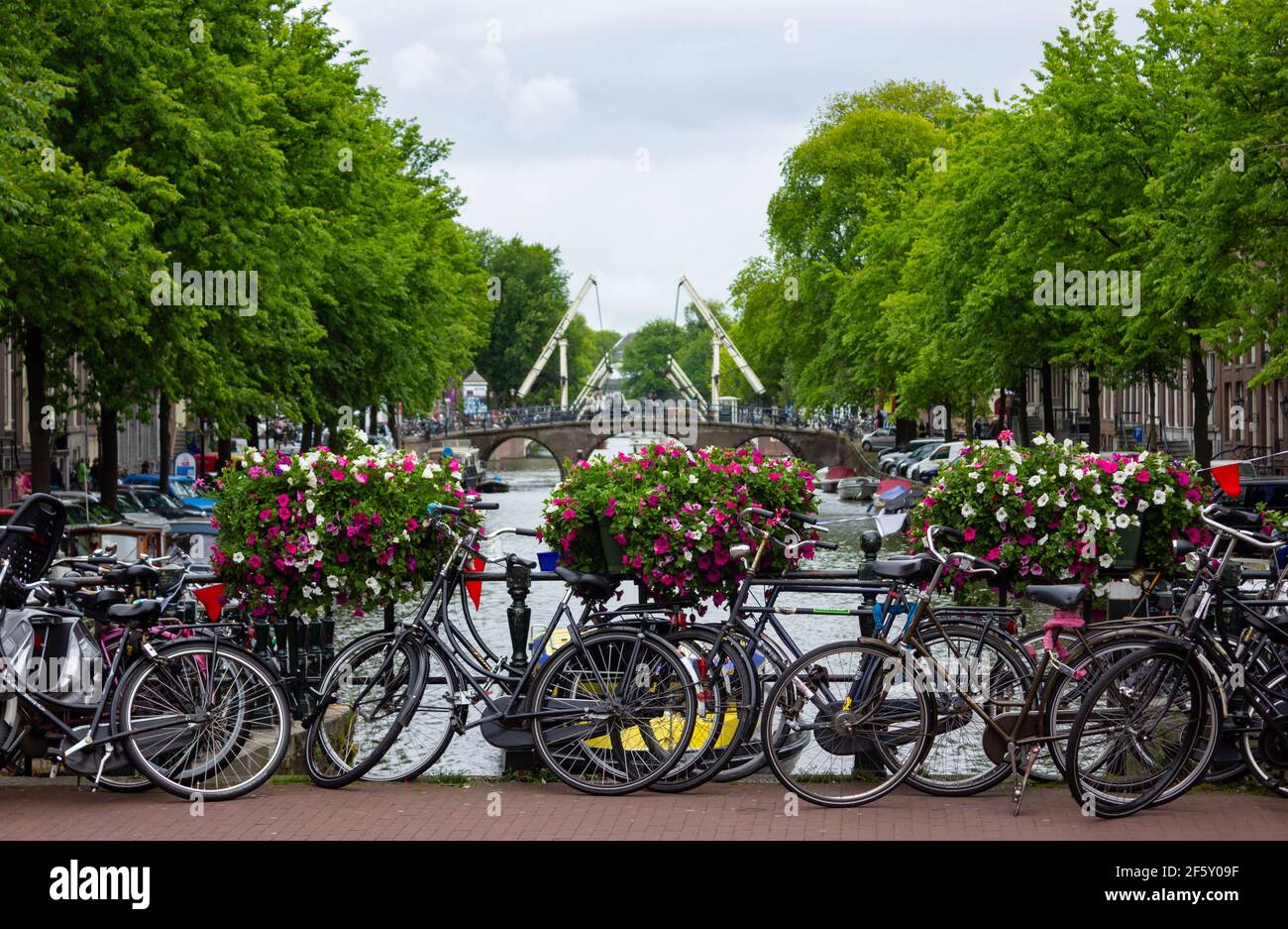 Une photo d'un pont plein de vélos et de fleurs sur un canal à Amsterdam. Banque D'Images