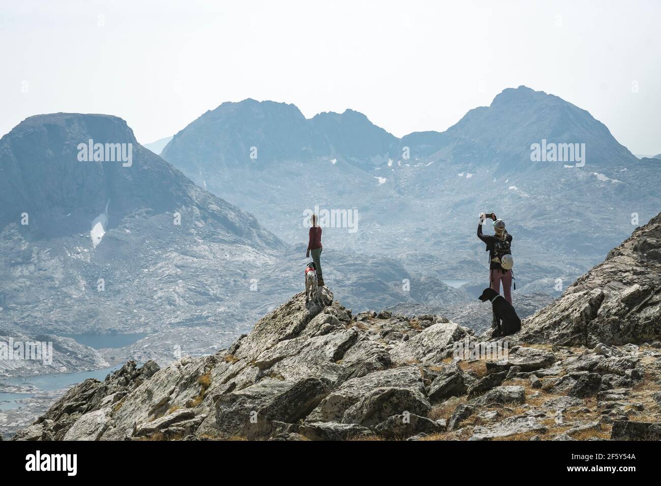 Des amies féminines avec des chiens au sommet de la montagne pendant la randonnée vacances Banque D'Images