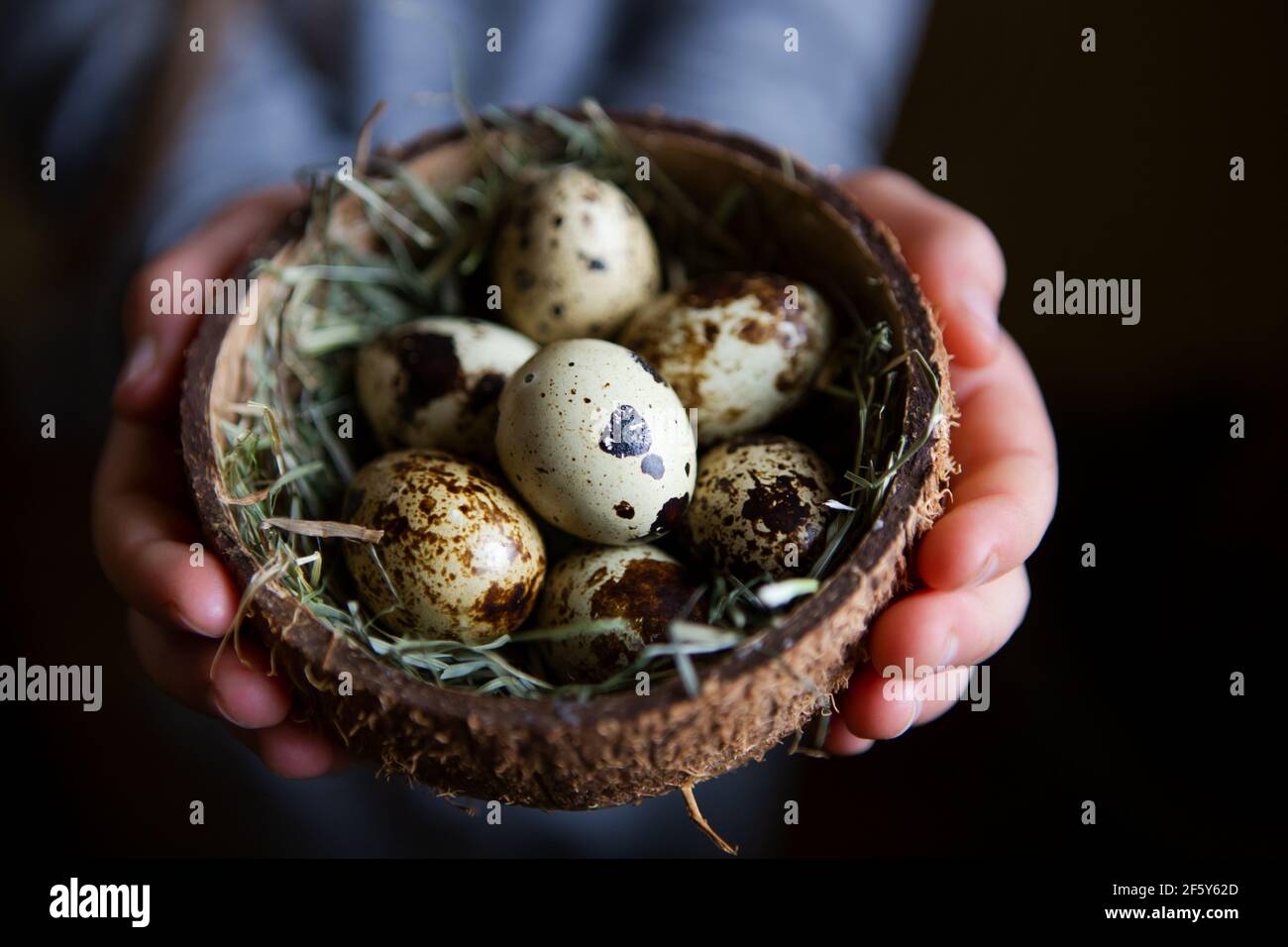 Caille les œufs dans un bol cocos dans les mains des enfants Banque D'Images