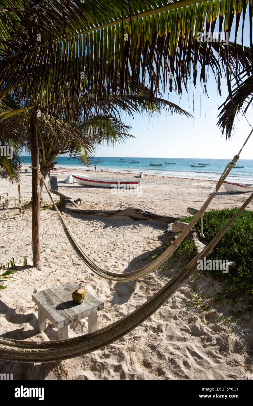 Hamacs sur une plage des Caraïbes à l'ombre des palmiers. Banque D'Images