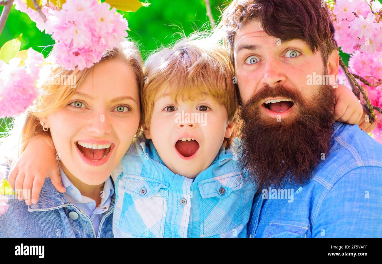Famille heureuse dans le jardin de printemps. Mère père avec petit fils ensemble dans sakura en fleur. Couple heureux dans le parc de sakura. Banque D'Images