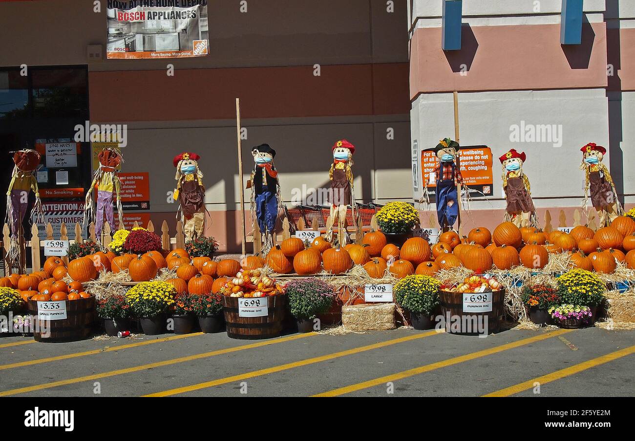 2020 citrouilles d'Halloween à vendre et à fraiser avec des masques pandémiques dans le magasin Home Depot d'Union City, en Californie, Banque D'Images