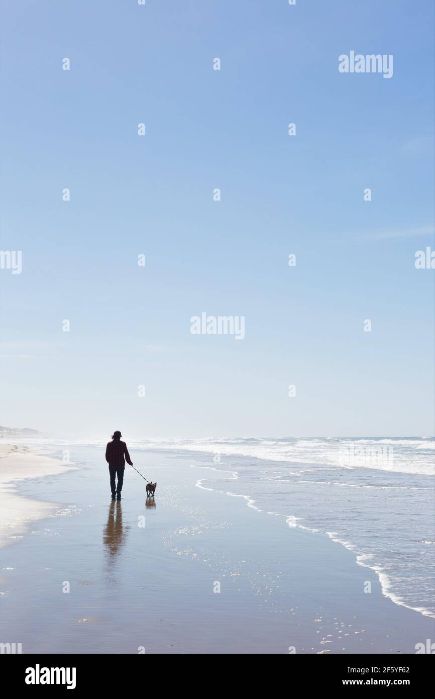 Silhouette d'un homme et d'un chien marchant sur une plage. Banque D'Images
