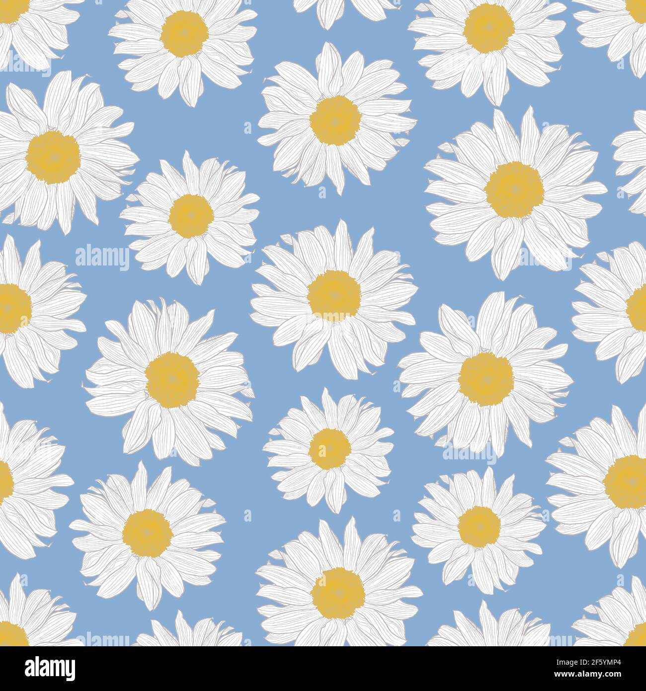 Motif vectoriel sans couture de fleurs de camomille jaune et blanc sur fond bleu clair. Imprimé décoratif pour le papier peint, l'emballage, le textile, le tissu. Illustration de Vecteur