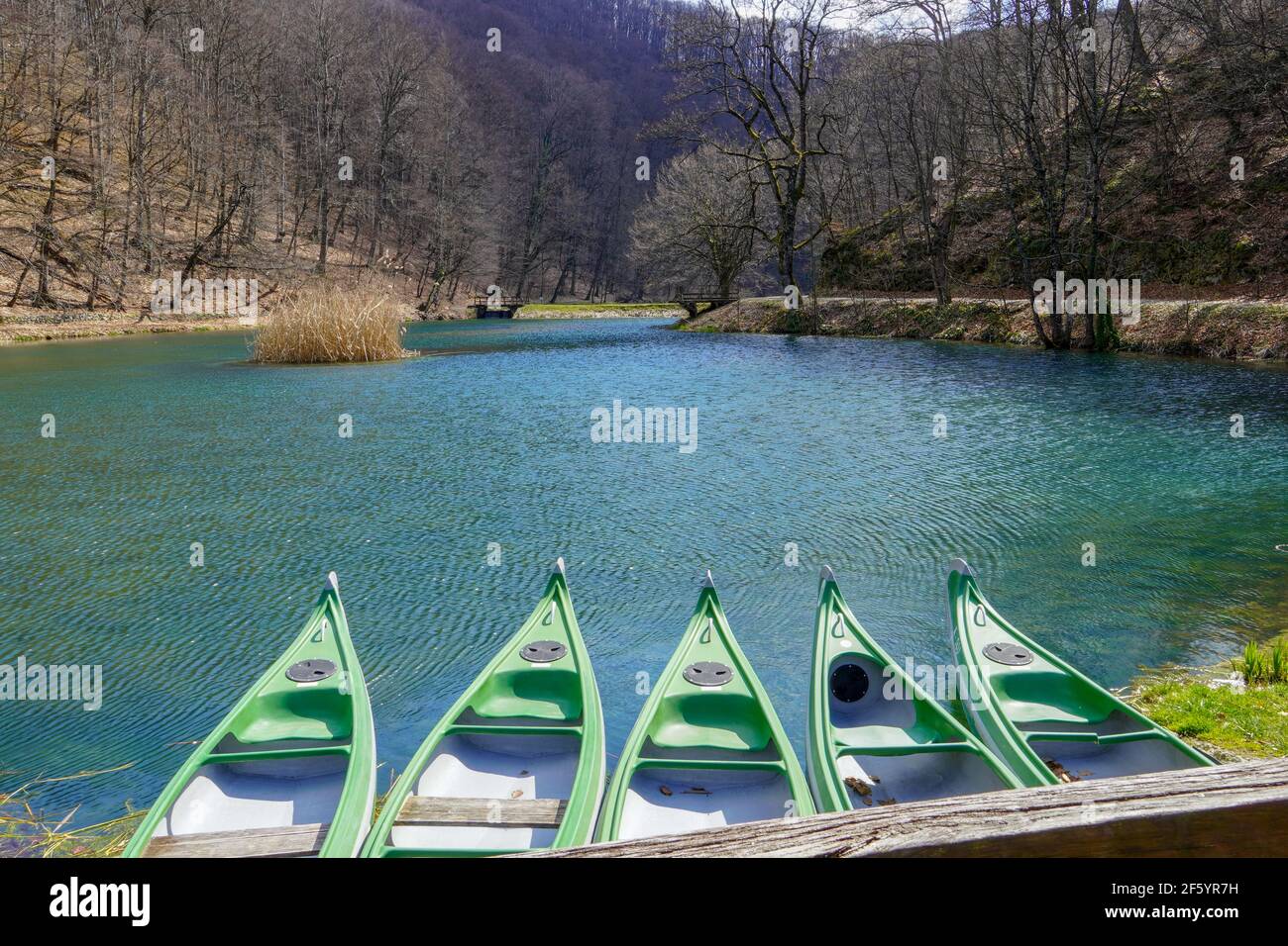 Cinq bateaux à rames sur le lac surplombent le lac vert idyllique. Banque D'Images