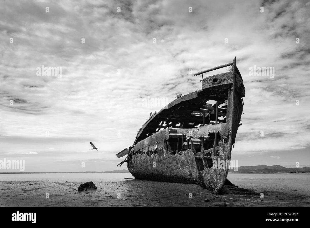 Vol d'oiseau au-dessus de Janie Seddon Shipwreck sur Motueka Foreshore, Nelson Tasman, South Island. Image en noir et blanc d'épave abandonnée et moody Banque D'Images