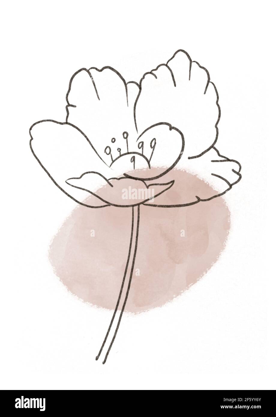 Illustration de la feuille abstraite. Logo imprimé botanique. Formes aquarelle affiche florale Banque D'Images